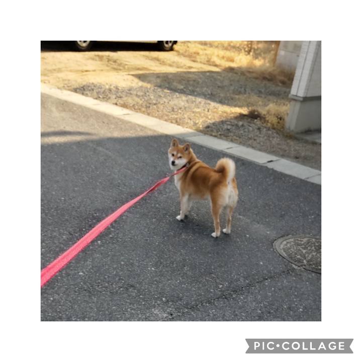 9490255c 5cbe 406c 9b4c 0aa8e0333b6c 1770952425729