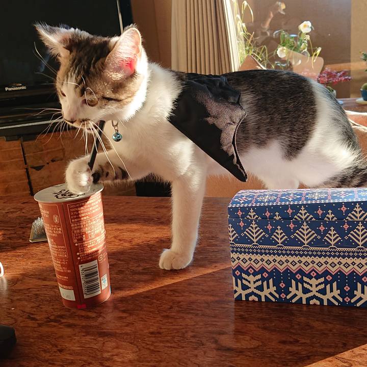 94903247 801b 4720 ab6c 06f4707c6c70 1545116029029