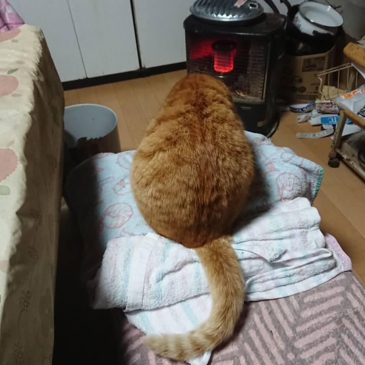 94909a33 70dc 46bb 86a0 a572b055a108 1606765665892