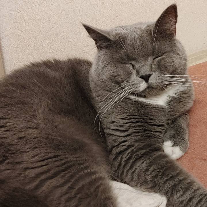 9490a975 0099 4682 bf8e a63322f2845b 1618611665271