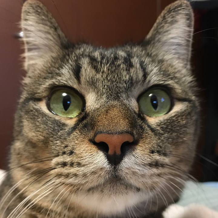 9490b237 dee5 46a0 a897 d52806b5f073 1538303827639