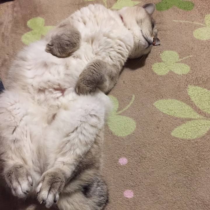 9490e379 76e4 4bbb b54f 766148e28ef9 1555155339351