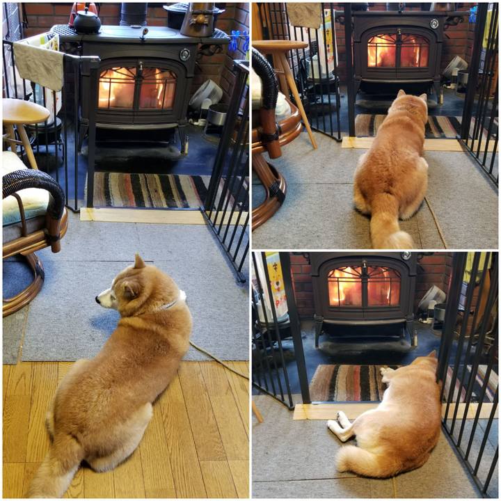 9490ff38 a27b 47dd 8d4a 32bac45ffc3c 1666565671201