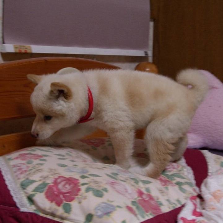 94910d55 ea77 408e 9848 5ec4419b056a 1663302302420