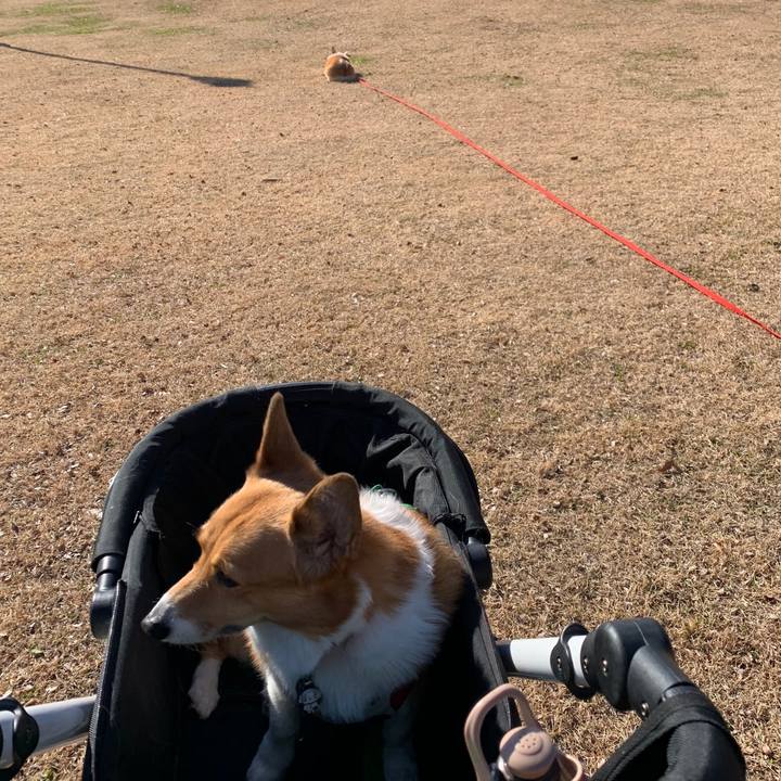 949125e8 1734 44c9 9e55 8891cc6794a2 1578643050562