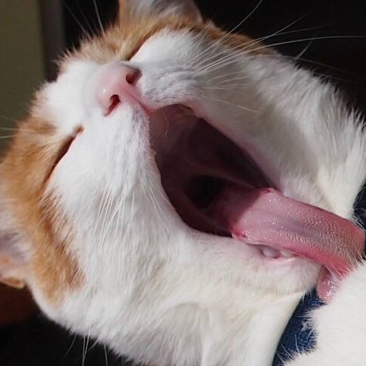 94915de0 fdb7 454c 9e9f fefa4a285a9c 1518429760992