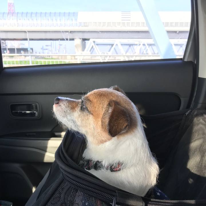 94918e54 f767 466c b9c0 c35449439702 1566001669037