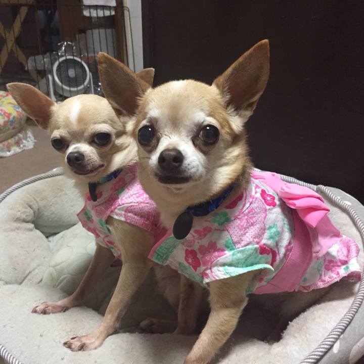 94919494 c422 41b4 ae32 8311b5e7b55a 1532776701339