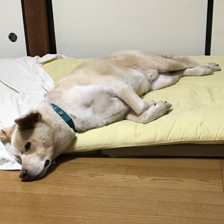 9491af22 4202 4a55 bb8e 416ad93021d0 1535198048414