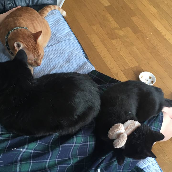 9491ba5c e870 4aae b1e6 eff8dd1c1316 1544920473188