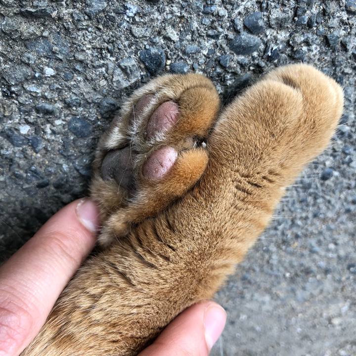 94923a23 8db4 4cac 8810 45fe7d219885 1523522704755