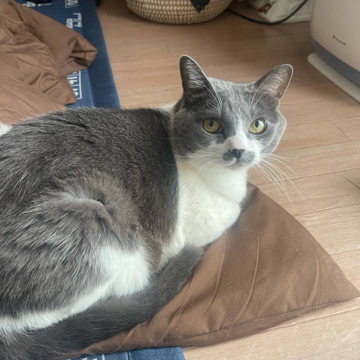 94924b23 aa5c 441a b848 f4c2bbccfae0 1704243950225