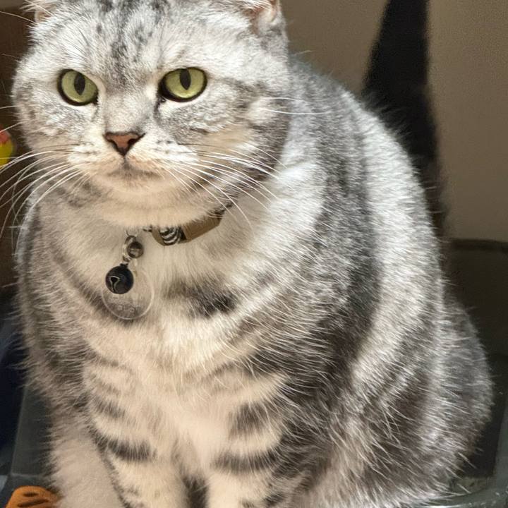 9492866d 68ec 4689 952e da1ff03ccfbd 1766469318129