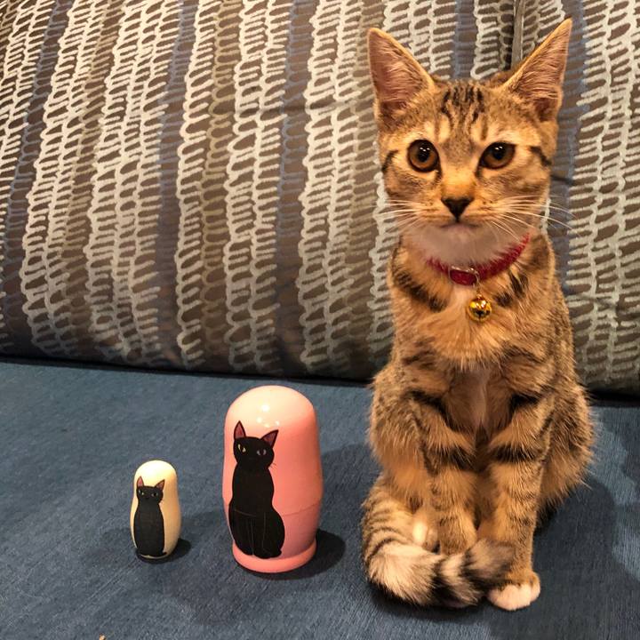 94928a2d 9673 4a7c acf6 769414e9a139 1551094672228