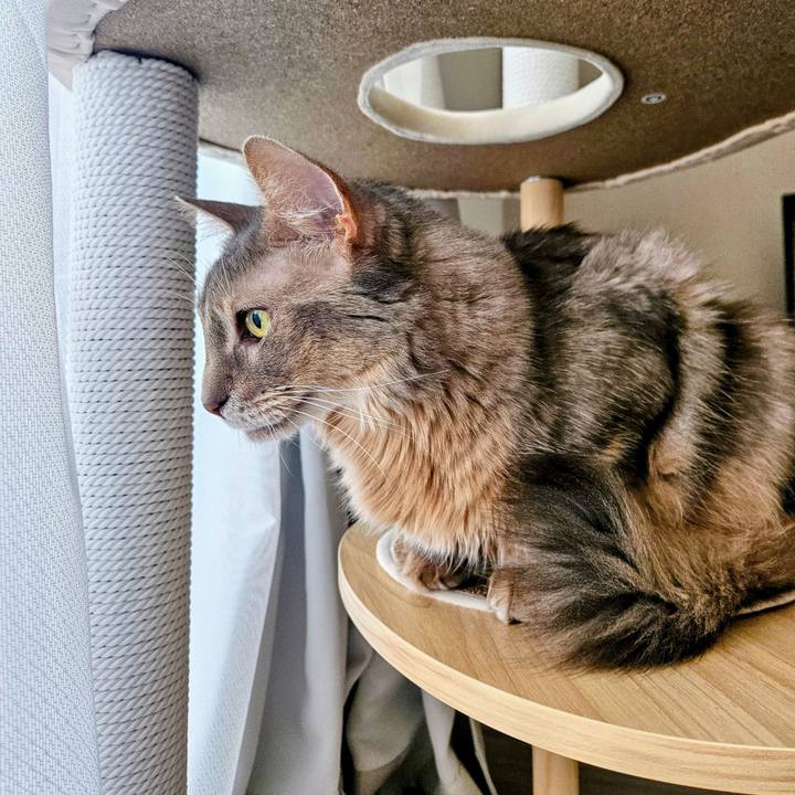 94929149 aa05 4319 bfe1 c0f895c1db00 1746331903934