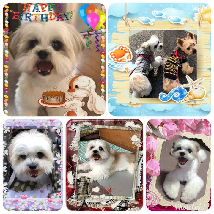 9492d4b6 4d37 4531 8616 0bda66a0df89 1563581120299