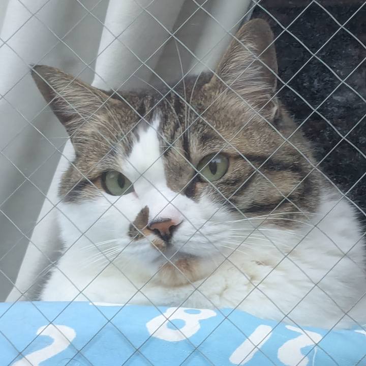 9492d5ba 7fe8 4e36 9b7a 5a7b5e89904d 1774823116328