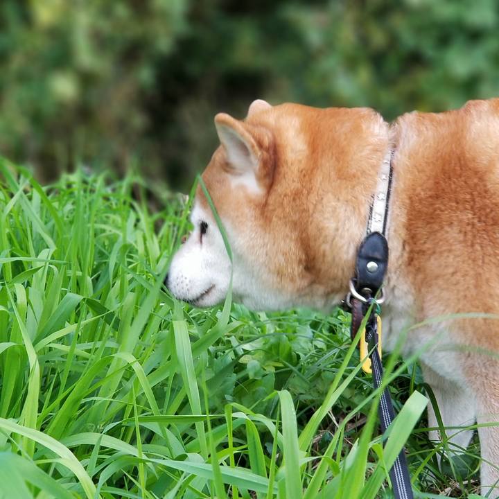 94930598 2660 4f8d 89d3 8f219e0c4a80 1603782437157