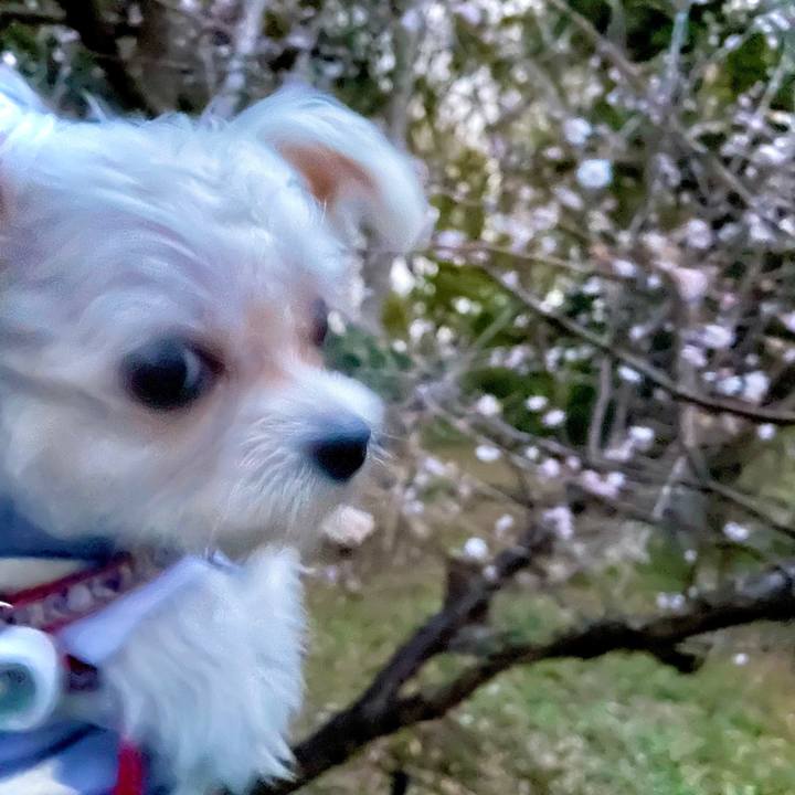 94930a43 8adc 4cea 9992 405722afac6f 1638331666306