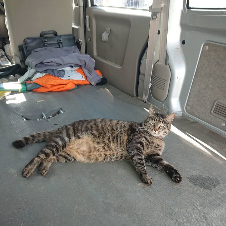 94931c7b 9326 4503 8911 36ea4b23ad69 1657355649368