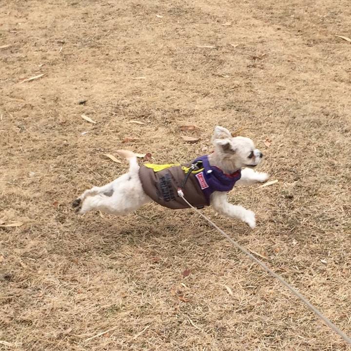 94932f30 c416 445d afbd 6a3d805eab2c 1517647334179