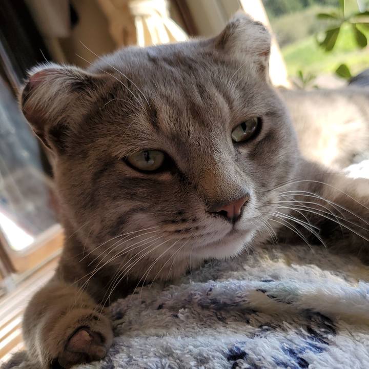 94934bae c17e 4839 82c2 33cea7cb7e91 1695654791037