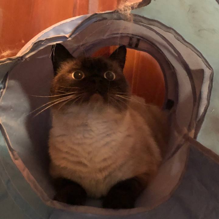 949373d5 48c7 4c12 934c 1b29c37eacd0 1625203538960