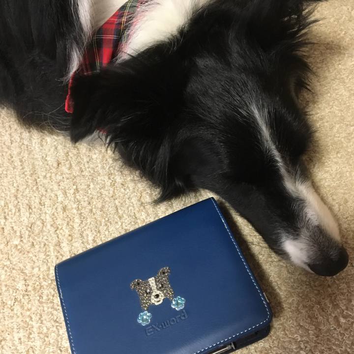 94938680 89d1 4ca0 8931 dbf6f5ecf81a 1525318626451