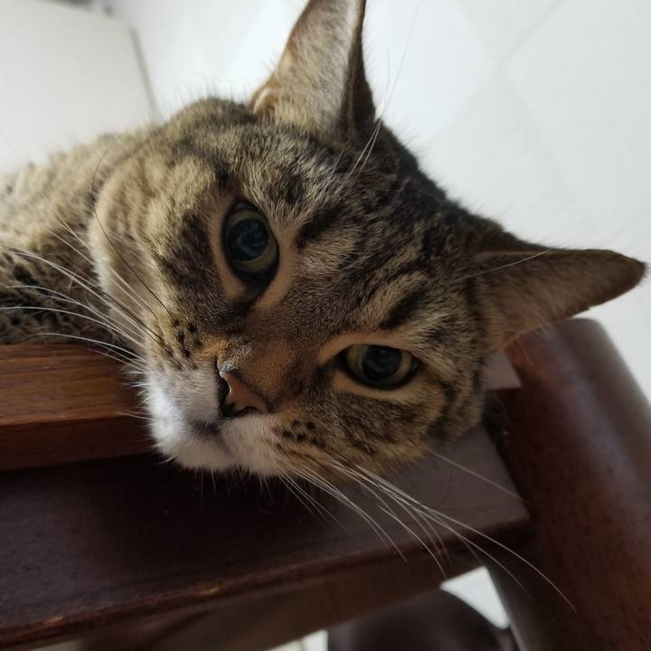 94939242 1c4f 492d ae43 8a2b064cfa85 1602620193324