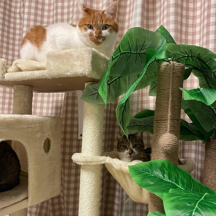 9493bb8b 177f 449f a6f1 369232286941 1706524325649