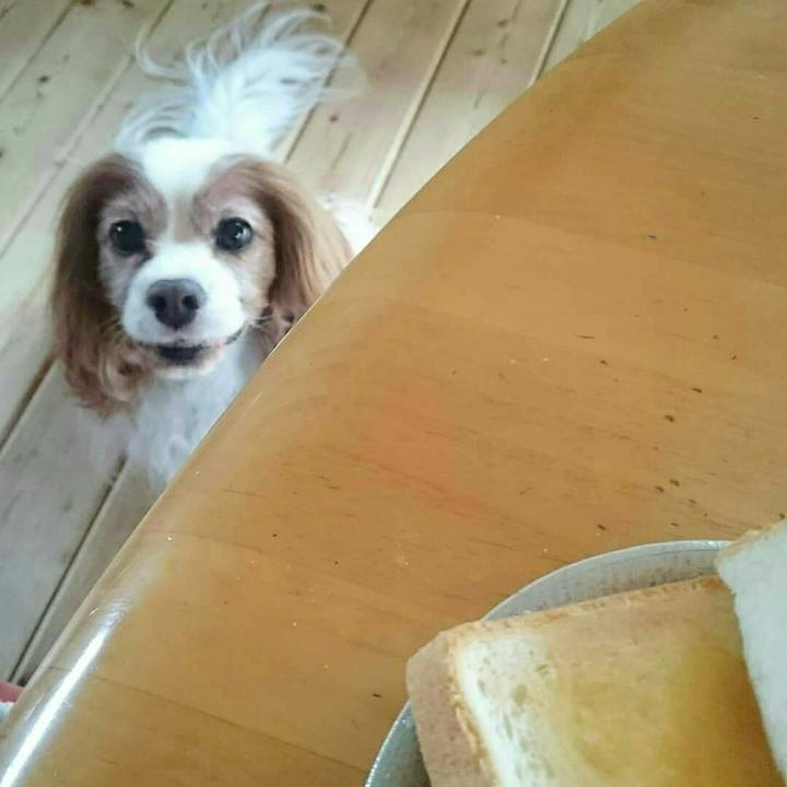 9493d3fa fa4c 490e 84ed fa37f03a8730 1528585853424