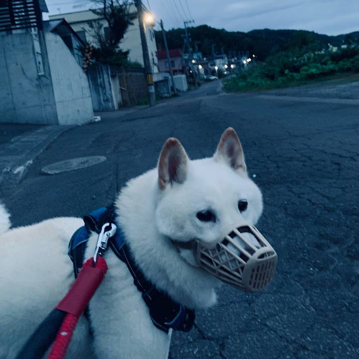 9493e21e afa5 4f66 b46b 2c93b6607da4 1661804979930