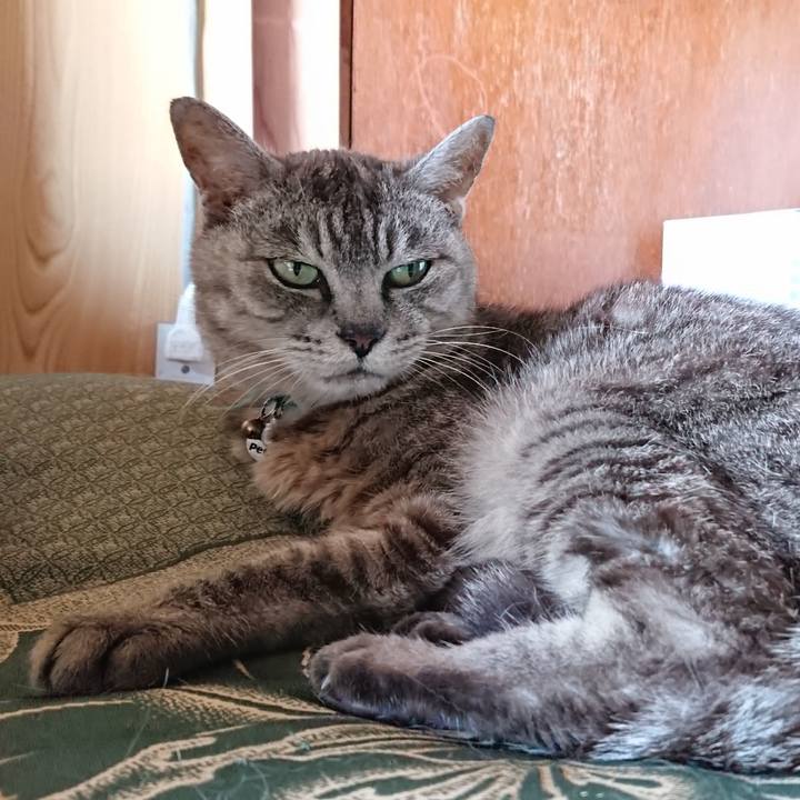 94942b6b e154 439b 9a59 fe7c34186062 1566025910980