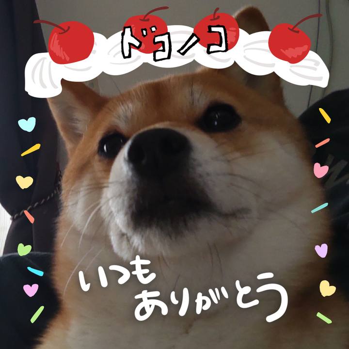 94945648 bc89 4922 80b1 6cb2f1aaec22 1685933418370