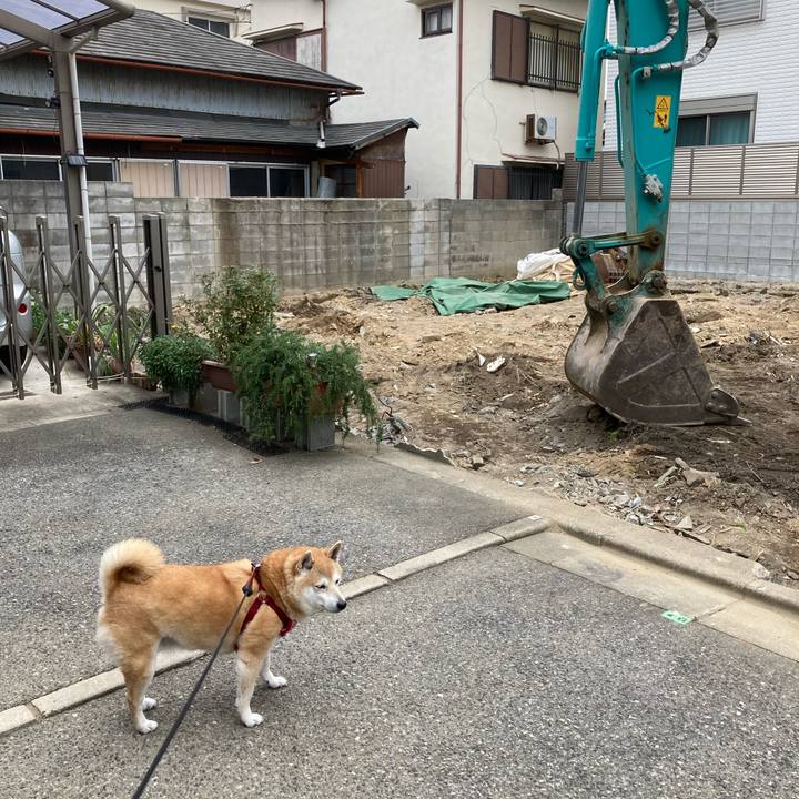 94945723 572d 40b6 a0d4 da242a15893d 1617594865066