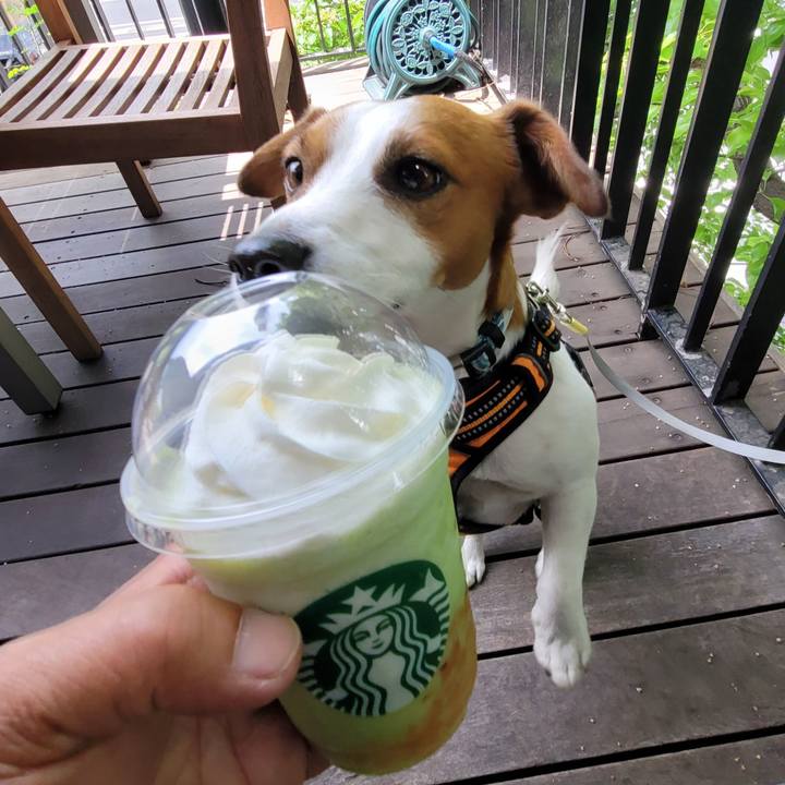 94945bf2 5eeb 4784 a96b a678d80616ce 1715173586362