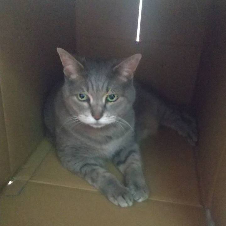 9494846f 8efe 46e2 a547 ca49a48fbb39 1654067443186