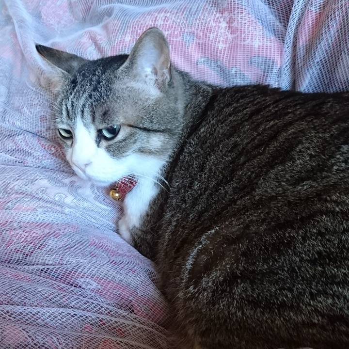 949496c7 a7e4 42f3 98db cd898ccf66df 1526770786187