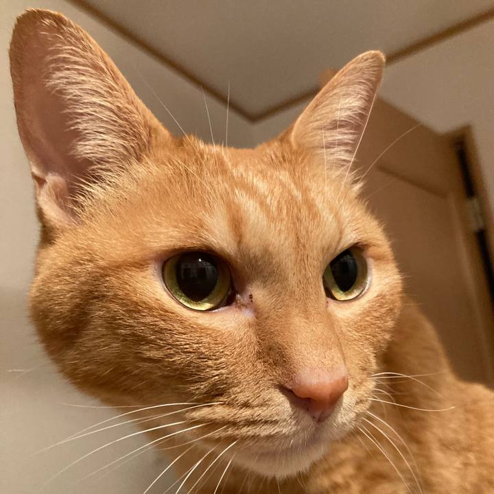 9494e28c 88fd 4af8 9441 973900589fa9 1760185272296