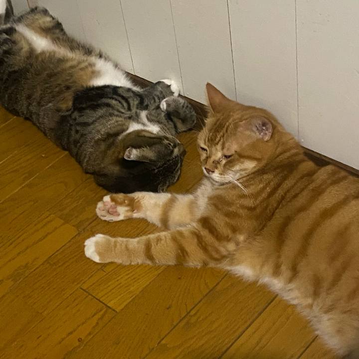 94950b65 b301 4288 8869 eafd8e096991 1660659336325