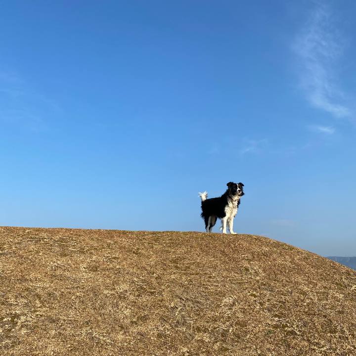 949524a0 3b6a 4f45 aa25 d5417c2bec01 1641170157666