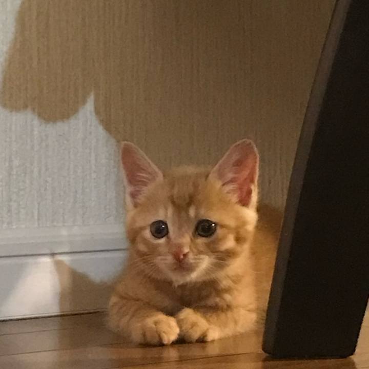 949527c9 8230 4ab5 b5a6 268209aeb632 1575198505139