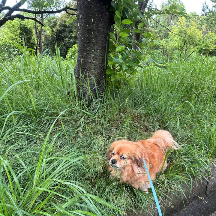 94954d85 77f3 4acf 85f5 8897cd9eefcd 1750799657509