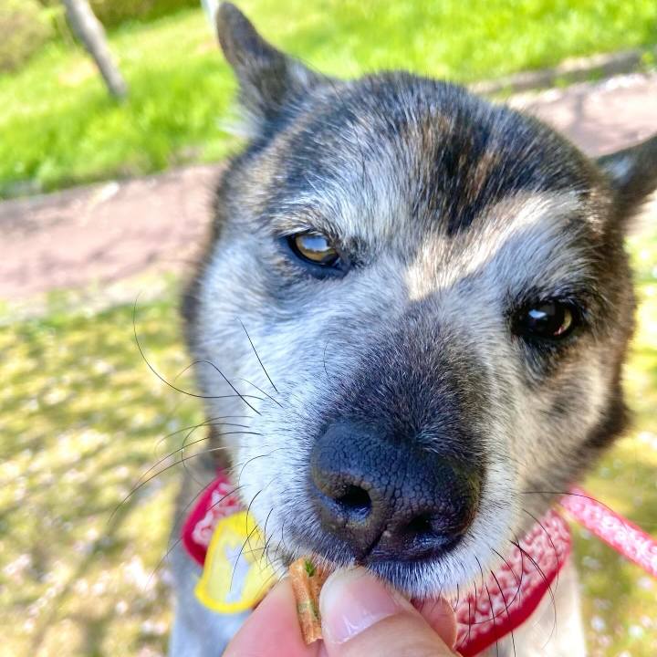 94955126 0317 46f1 81c6 5cf368a6089b 1713679311950