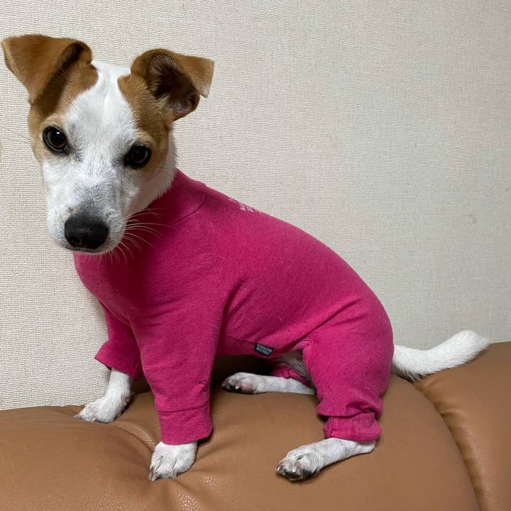 94957574 2f07 4a4d a680 acc4cead64ec 1608020598060