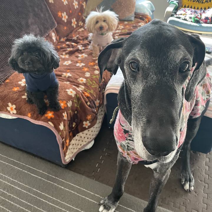 94957c84 9dc3 4597 a902 68d2e721b86d 1616713090245