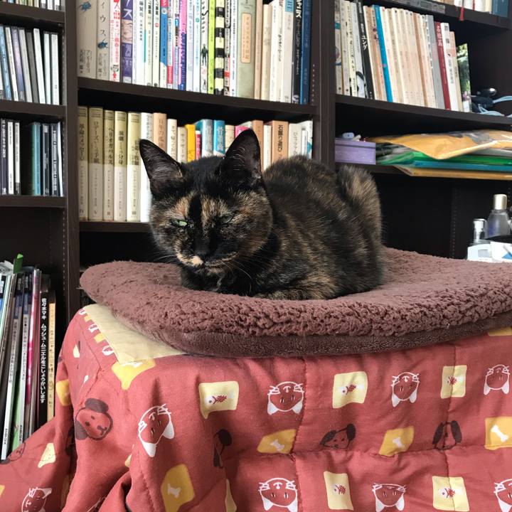 94959a7a 0d59 4d47 9277 3215a951b519 1604121252751