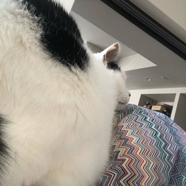 94959bca d0ef 417d a04e e8c29a9d56a4 1604718900599