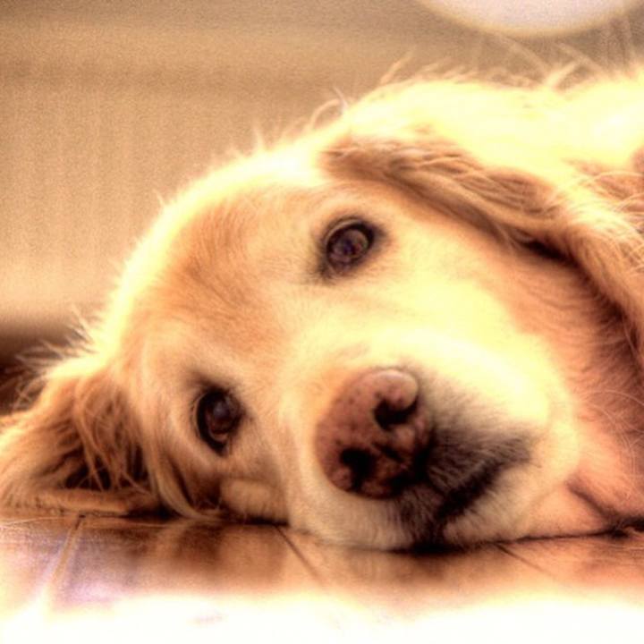 9495c34d d30f 4bd9 82d2 38faeb3d5f8f 1685943381748