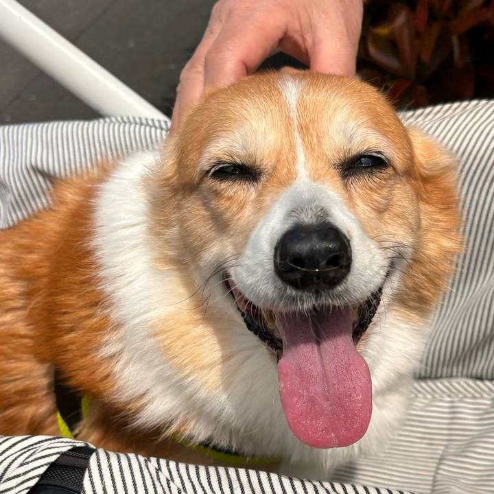 9495ff2d f54a 4711 bb1a 05973ce4cb08 1776046997717